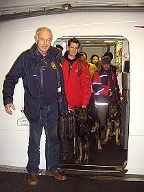 dogs breeders dog pictures